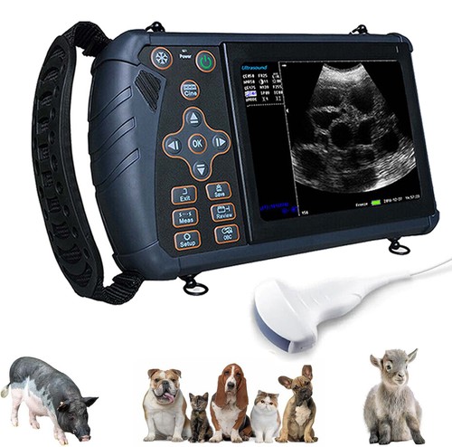 Veterinary ultrasound machine - ultrasound,