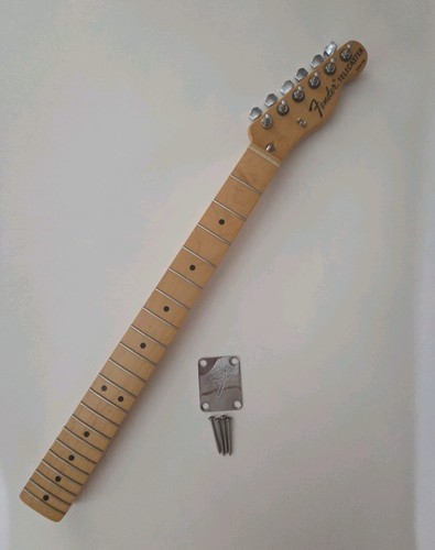 2009 mim fender - mim,