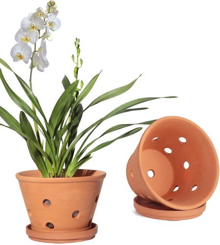 Inch terracotta orchid - inch,