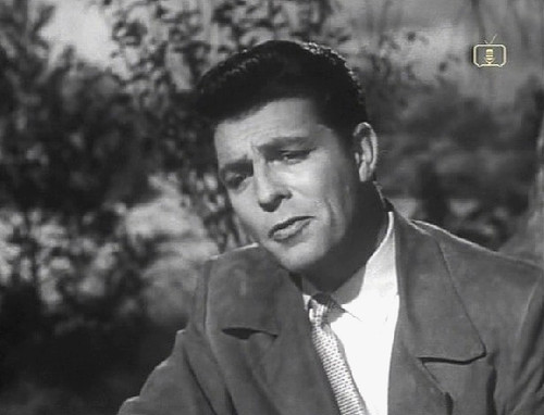 High terrace dale robertson - terrace,
