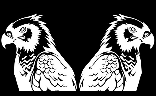 Harpy eagle graphic two - graphic, 5"