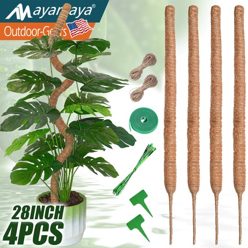 Bendable moss pole - moss, for