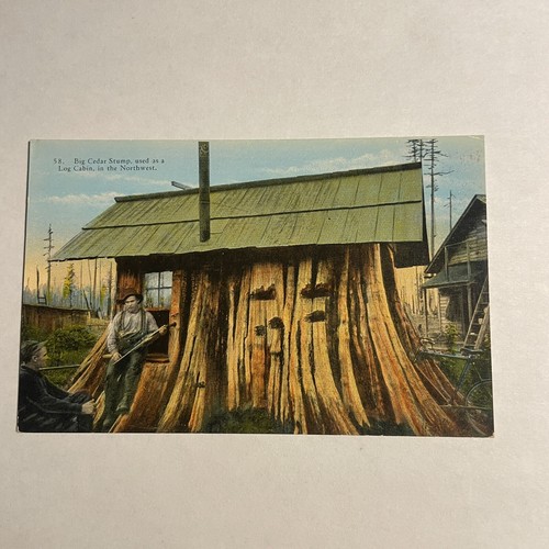 Big cedar stump log cabin - big,