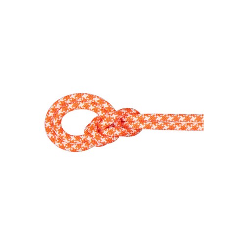 Mammut classic rope - 9.5,