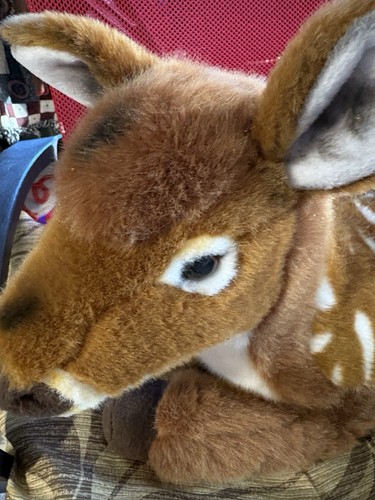 Fao schwartz fawn - fao,