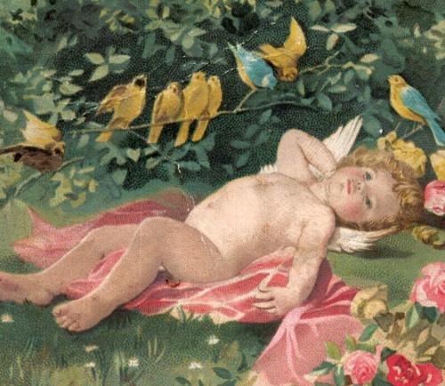 1880s story clark - story,