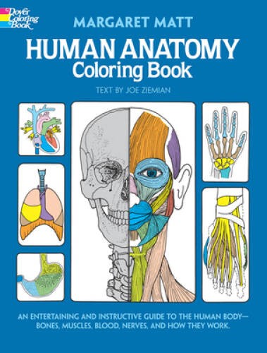 Human anatomy coloring book - anatomy,