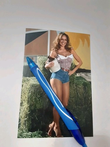 Dukes hazzard catherine - of, hazzard,