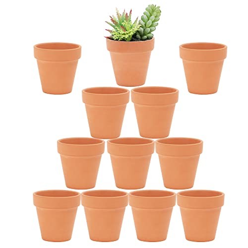 Inch pots with drainage - 2.5,