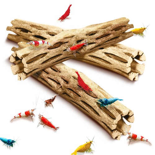 Cholla wood climbing logs - wood,