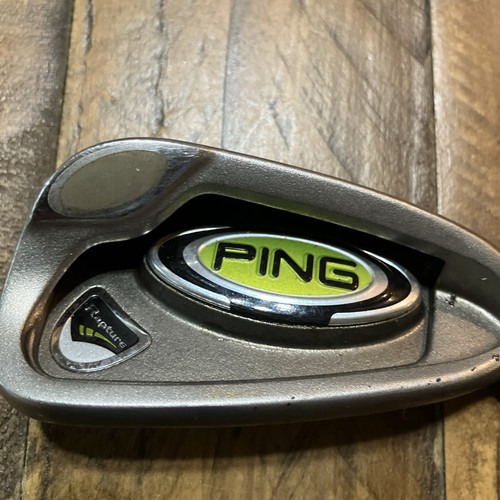 Ping rapture black dot - black,