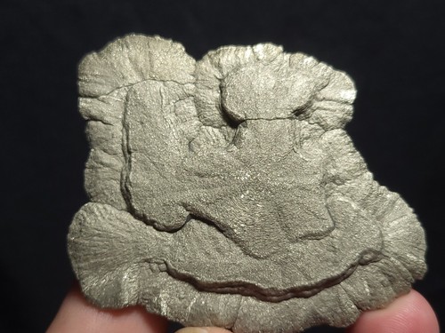 Pyrite sun - dollar, from