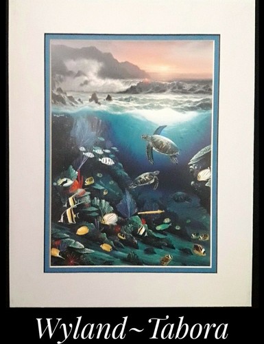 Wyland tabora 14 fine - 14",