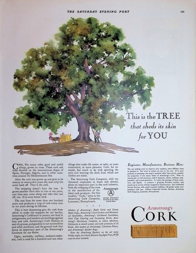 Original 1930 vintage cork - 1930,
