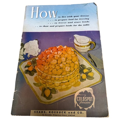 Vintage 1955 coldspot freezers - vintage,