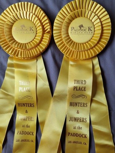 Paddock riding club - paddock,