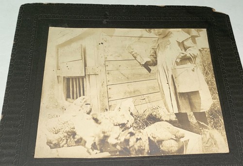 Rare antique american - antique, farm