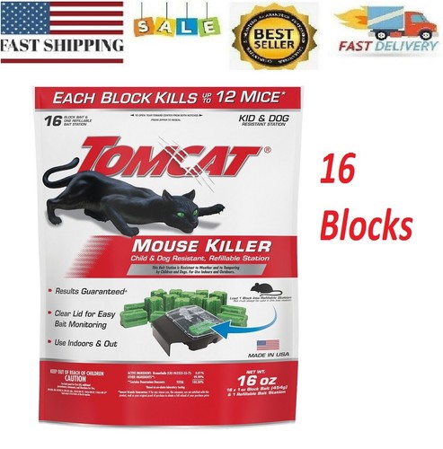 Mouse mice rat - mouse,