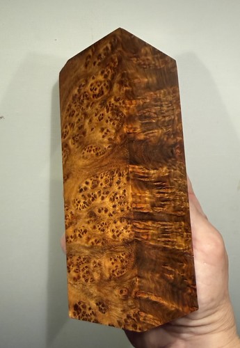 Stabilized amboyna burl - ,