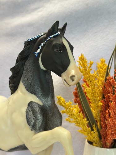 Breyer 2026 custom - 2026,