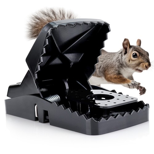 Exuby squirrel trap - (2,