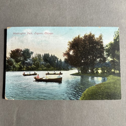 Rowing boats boaters - boats,
