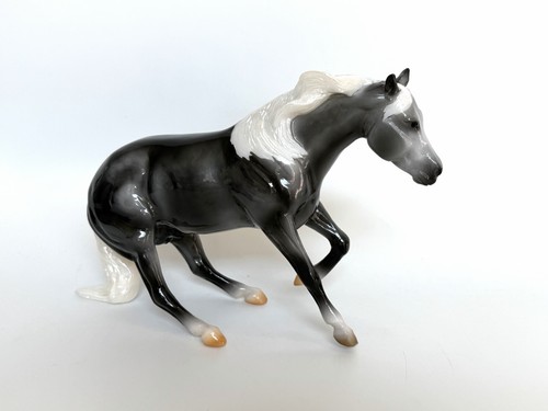 Breyer 2021 web - 2021, special