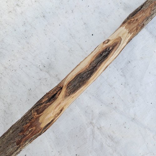 Diamond willow carving - willow,