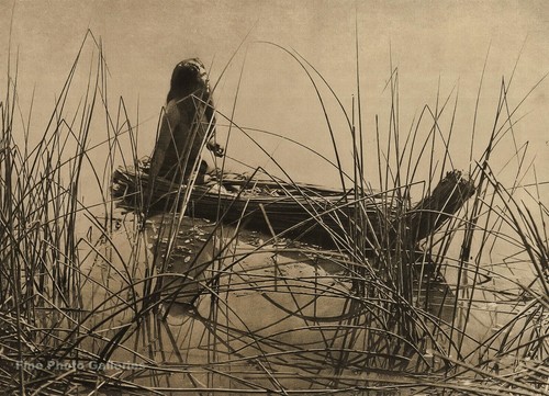 1900 edward curtis native - 1900/72,