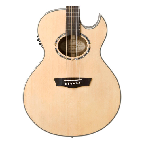 Washburn ea20snb festival - washburn,