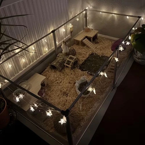 Expand acrylic pet playpen - expand,