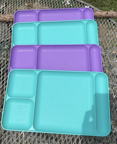 Used divided meal picnic - meal,