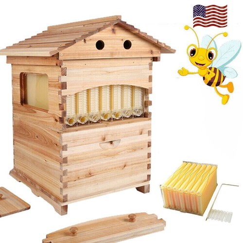 Auto reap bee hive - hive, boxes