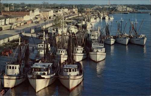 Shrimp boats morgan city - shrimp,