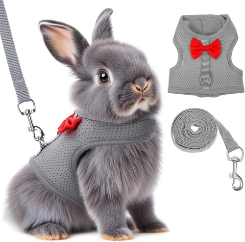 Bunny harness leash set - &, soft