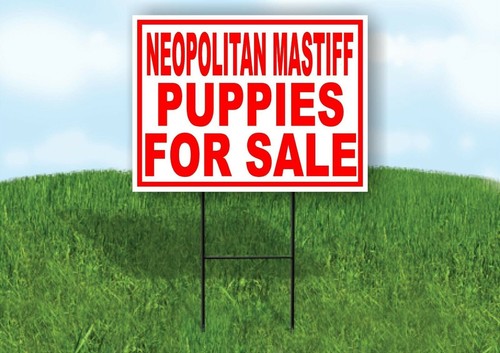 Neopolitan mastiff puppies - neopolitan,