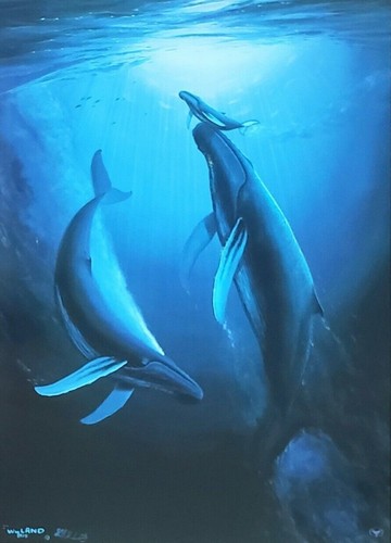Wyland galleries genesis whale - galleries,