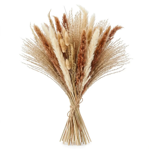 Stems mixed natural - 20, palm