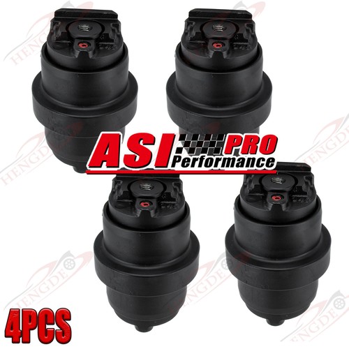Asi 4pcs track - asi, bottom