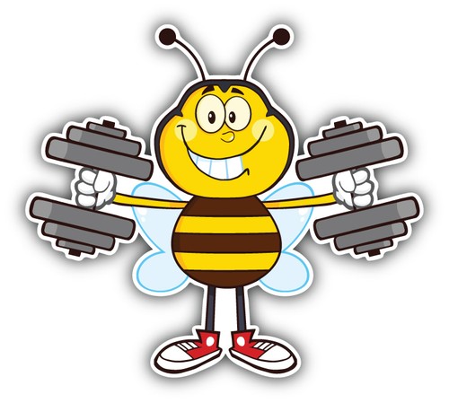 Happy bee training gym - bee, car