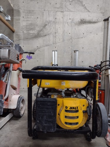 Dewalt dxgnr6500 gas powered - dxgnr6500,