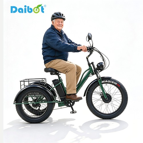 Daibot 750w 48v - 48v, fat