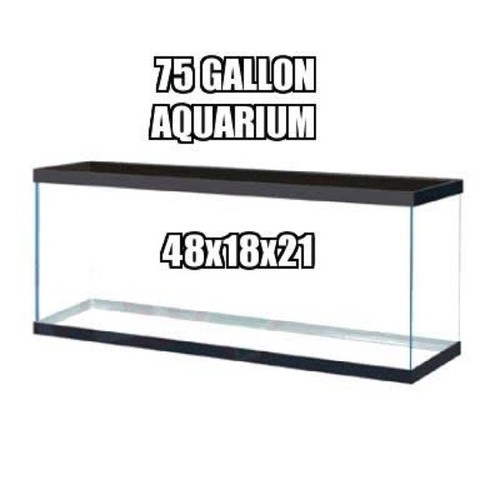 Gallon smaller glass - &,