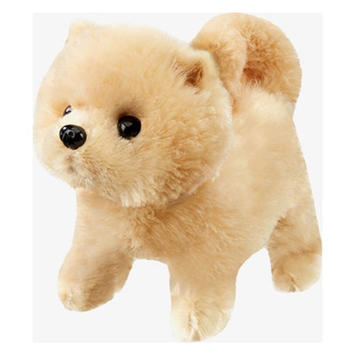 Little shushu hearty - hearty, walk