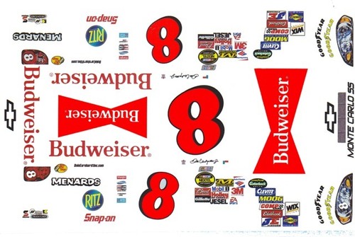 Dale earnhardt jr - earnhardt, tribute