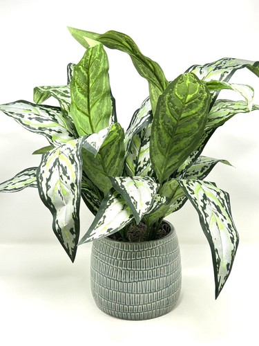 Large silver queen - silver,