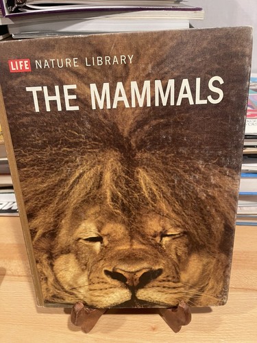 Vintage life nature - life,