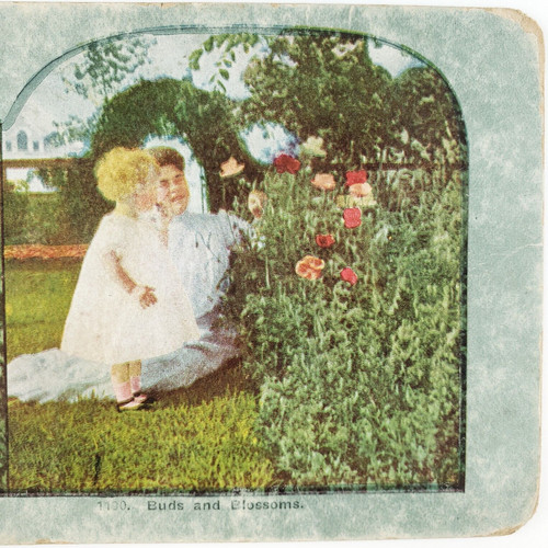 Mother child flower - flower, garden