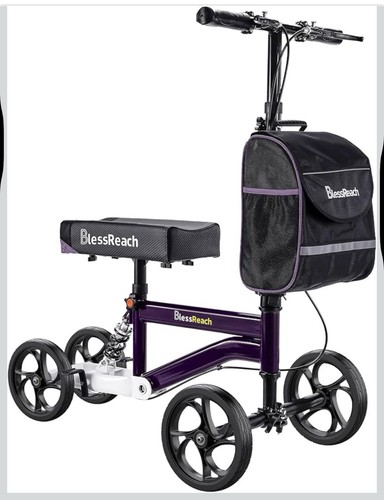 Blessreach economy knee - economy,