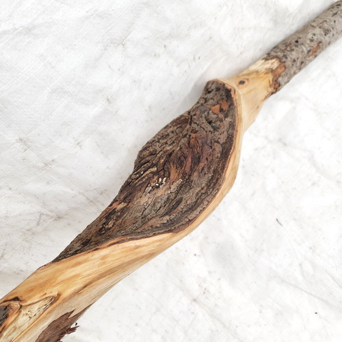 Diamond willow carving - willow,